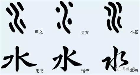 和水有关的字